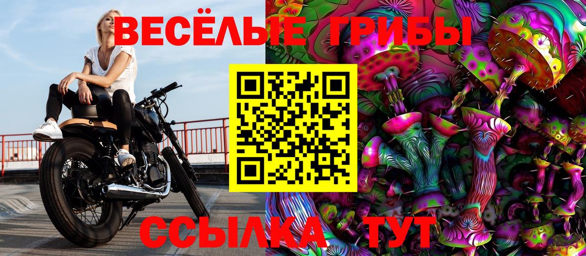 Галлюциногенные грибы GOLDEN TEACHER  Вход с VPN  где купить наркоту  Жуковский 